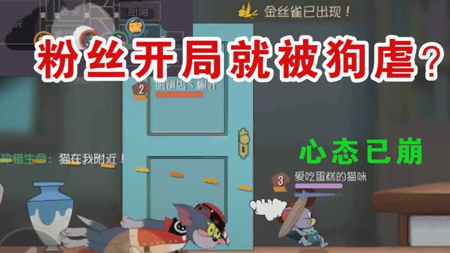 猫和老鼠：偶遇粉丝本以为会和平相处！却没想到被虐这么惨？有趣