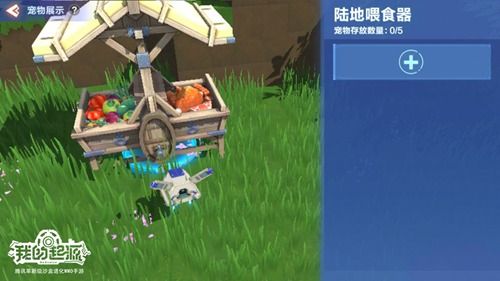 我的起源宠物派遣在哪玩？宠物派遣位置与奖励获取攻略