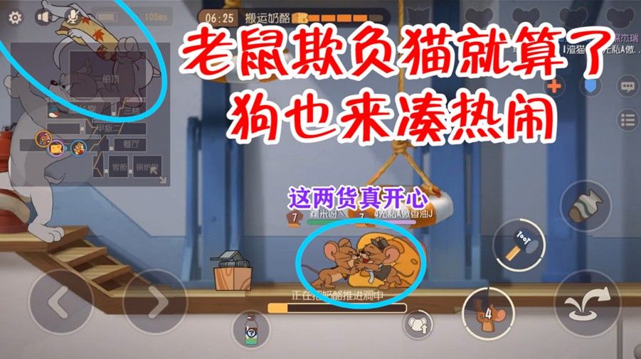 猫和老鼠：母猫被四黑车队吊打，斯派克都来帮忙，母猫太难了