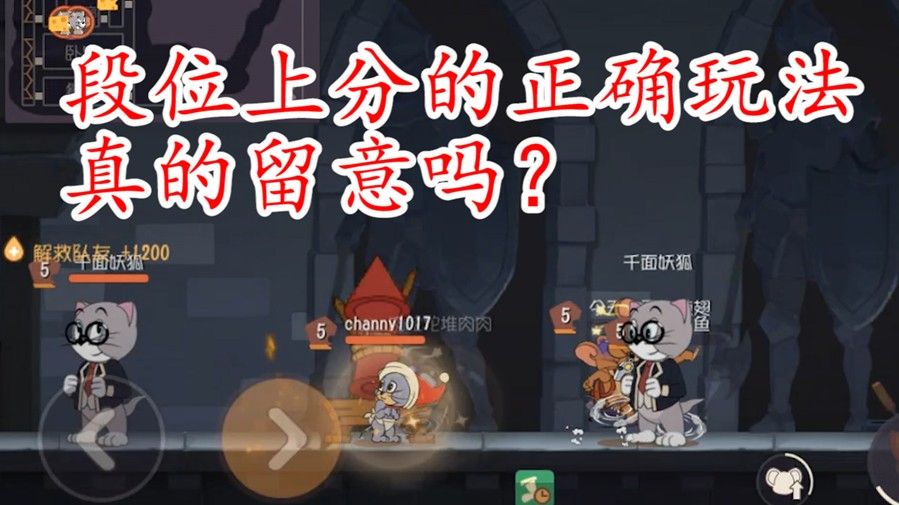 猫和老鼠：铂金段位战术正确玩法，你留意过吗？真的是队友坑？