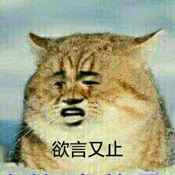 《代号：七海》这是一群航海士们的梦想之作