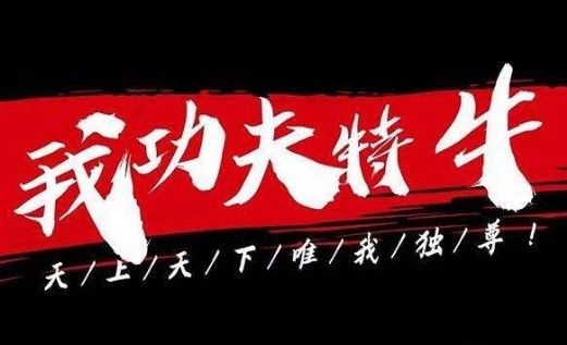 我功夫特牛秘籍攻略：新手秘籍选择推荐