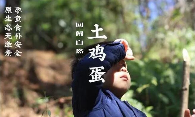 天水庄园免费领鸡蛋是真的吗？免费领鸡蛋活动规则