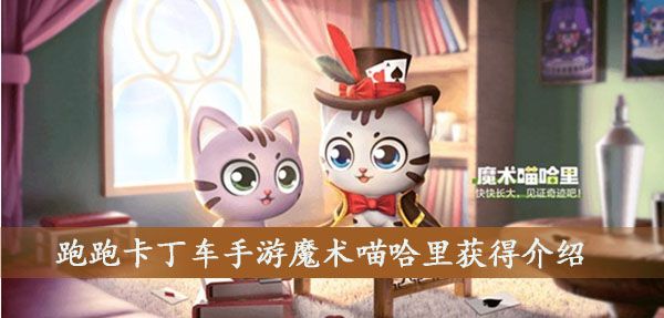 跑跑卡丁车手游魔术猫怎么样？魔术猫哈里技能展示获得方法一览