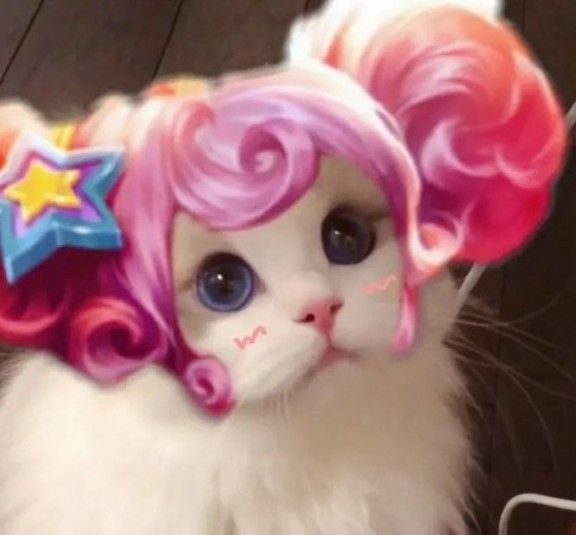 王者荣耀猫咪接头头像大全：猫咪头像无水印制作方法