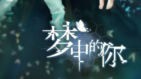 梦中的你游戏攻略：完美结局通关流程一览