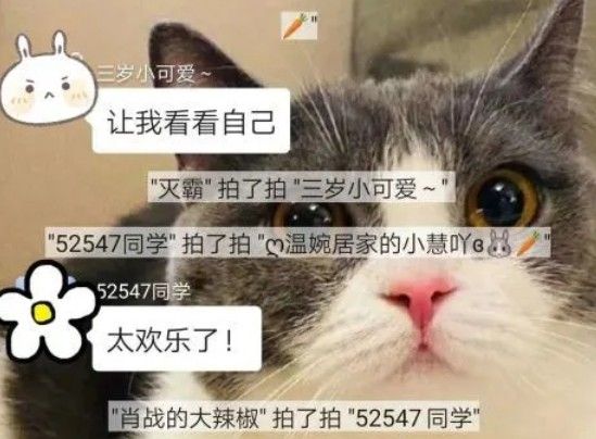 微信拍了拍怎么修改文字？微信拍一拍可爱又搞笑的后缀句子大全