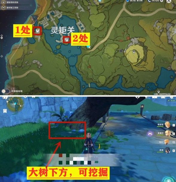 原神灵矩关无名宝藏在哪？青墟浦、灵矩关宝藏获取攻略
