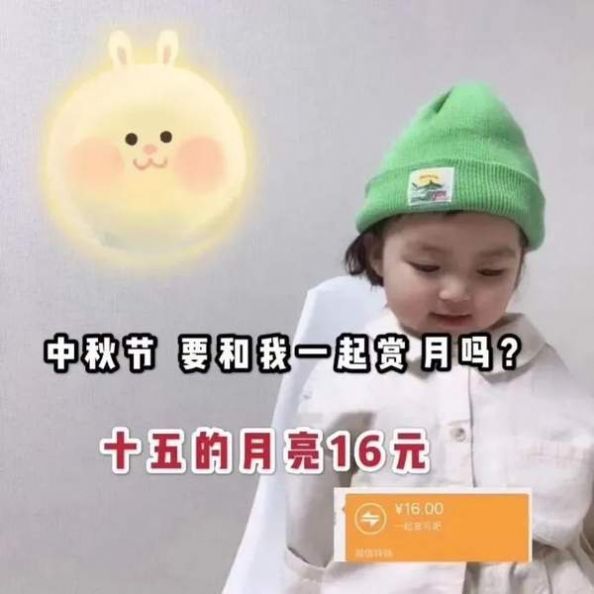 十五的月亮十六元是什么意思？微信十五的月亮十六元图片表情包大全