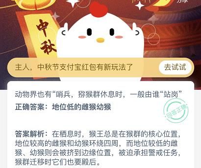 动物界也有哨兵，猕猴群休息时一般由谁站岗？蚂蚁庄园9月30日答案最新