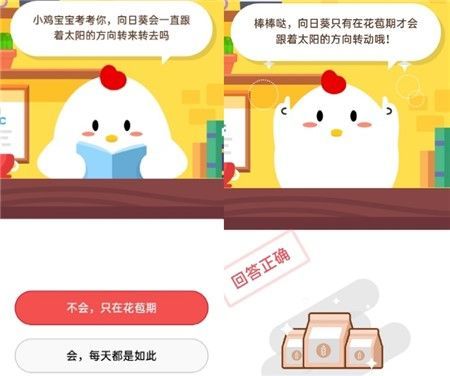猫咪爱吃鱼，它们吃鱼时也可能被鱼刺卡到吗？蚂蚁庄园10月21日最新答案