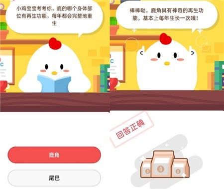 人类一分钟心跳是60-100次鲸鱼一分钟心跳是几次？蚂蚁庄园10月26日答案最新