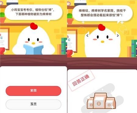 植物也怕痒下面哪种植物被称为痒痒树？蚂蚁庄园11月9日小课堂今日答案