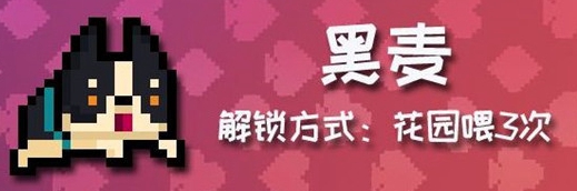 元气骑士柯基黑麦获得方式是什么？柯基黑麦获得方法介绍