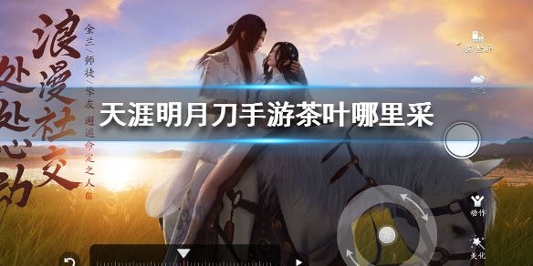 天涯明月刀手游茶叶哪里采？茶叶坐标位置详情一览