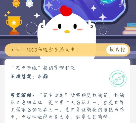 蚂蚁庄园花中西施 蚂蚁庄园今日答案花中西施