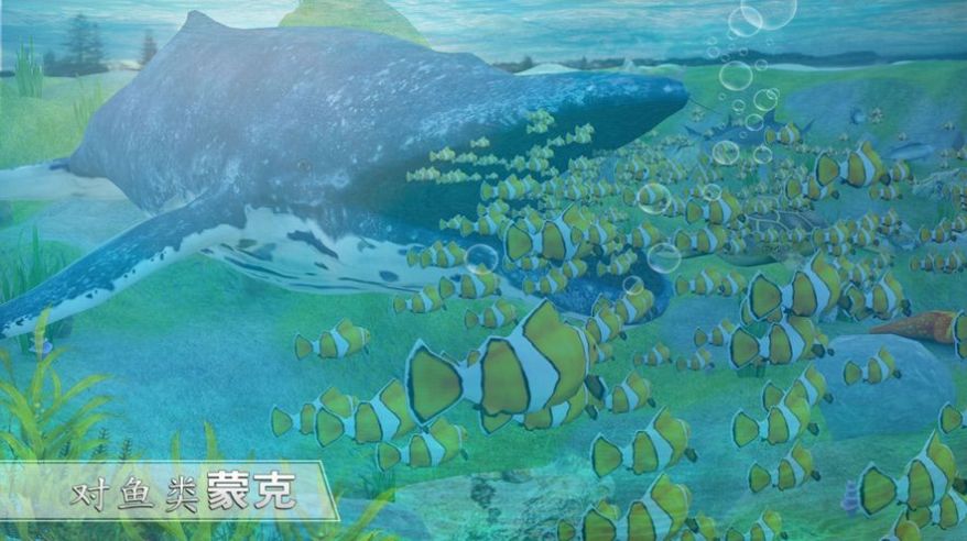 全民养鲸鱼分红是真的吗？分红方法介绍