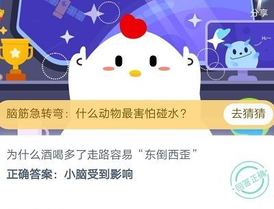 蚂蚁庄园为什么酒喝多了走路容易“东倒西歪”？7月23日今日答案汇总