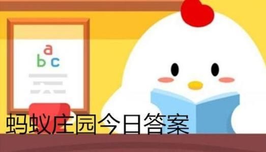 揉压眼睛时，有时眼前会出现光斑或奇怪的图案，这是因为 蚂蚁庄园2021年1月4日答案