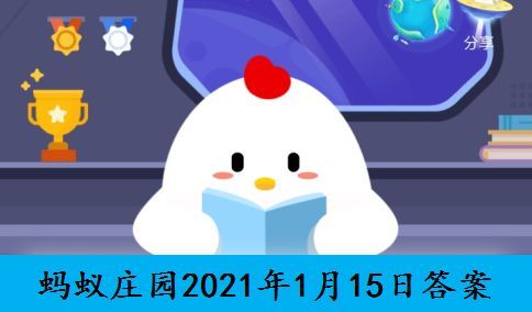 不撞南墙不回头的南墙是什么意思蚂蚁庄园