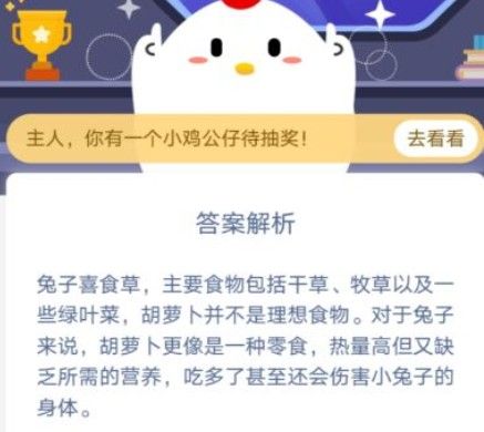 实际上生活中的兔子更喜欢吃什么 实际上生活中的兔子更喜欢吃哪种食物蚂蚁庄园