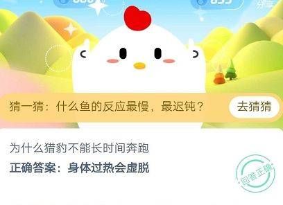 为什么猎豹不能长时间奔跑？蚂蚁庄园今日课堂答题1月23日