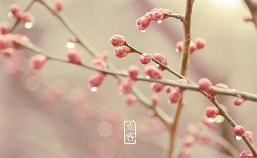 立春吃什么传统食品 2021立春吃什么养生