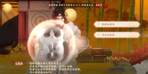 忘川风华录猫灵进化培养攻略 猫灵快速养成技巧大全