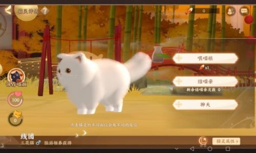 忘川风华录猫咪外观码大全 猫灵外观捏脸码数据一览