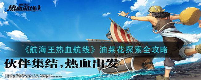 航海王热血航线油菜花攻略大全：油菜花的宝藏探索任务流程