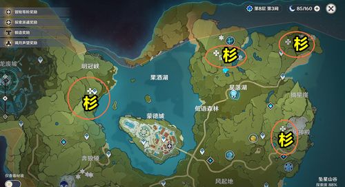 原神杉木哪里多？杉木采集位置大全
