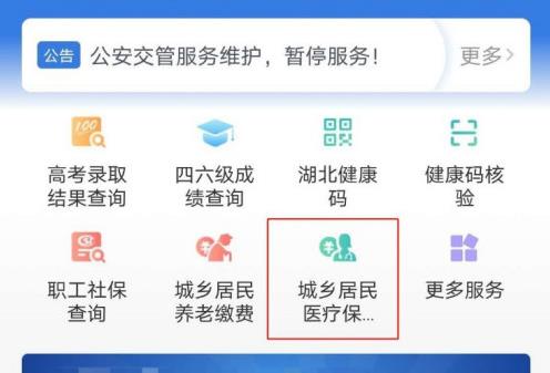 鄂汇办怎么代缴医疗保险 代缴看医生的医疗保险方法