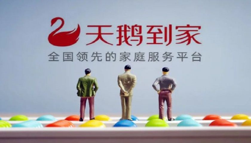 天鹅到家家政官网电话是多少 天鹅到家客服24小时客服热线电话
