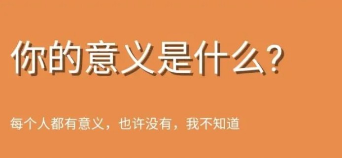 你的意义是什么鬼东西测试在哪 你的意义是什么鬼东西测试链接入口