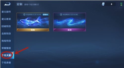 王者荣耀共赏芳华天幕怎么设置？共赏芳华天幕设置方法